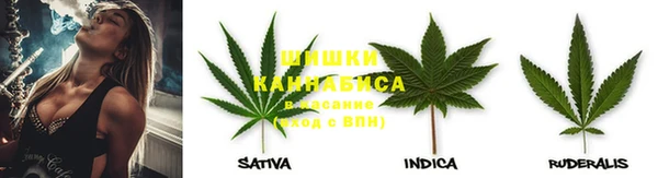 прущие крисы Заводоуковск