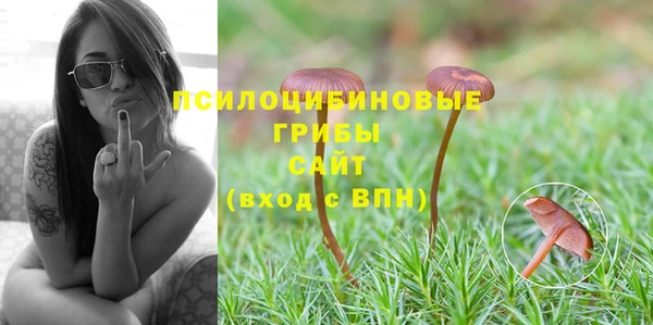 MDMA Ельня
