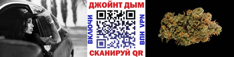 Каннабис индика Новая Ладога